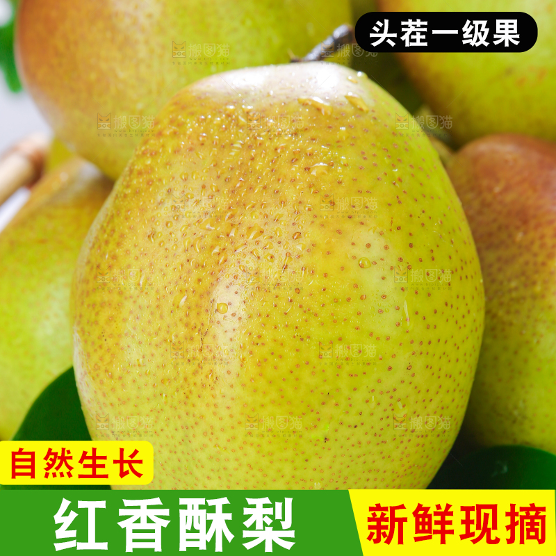 篮子里的红香酥梨