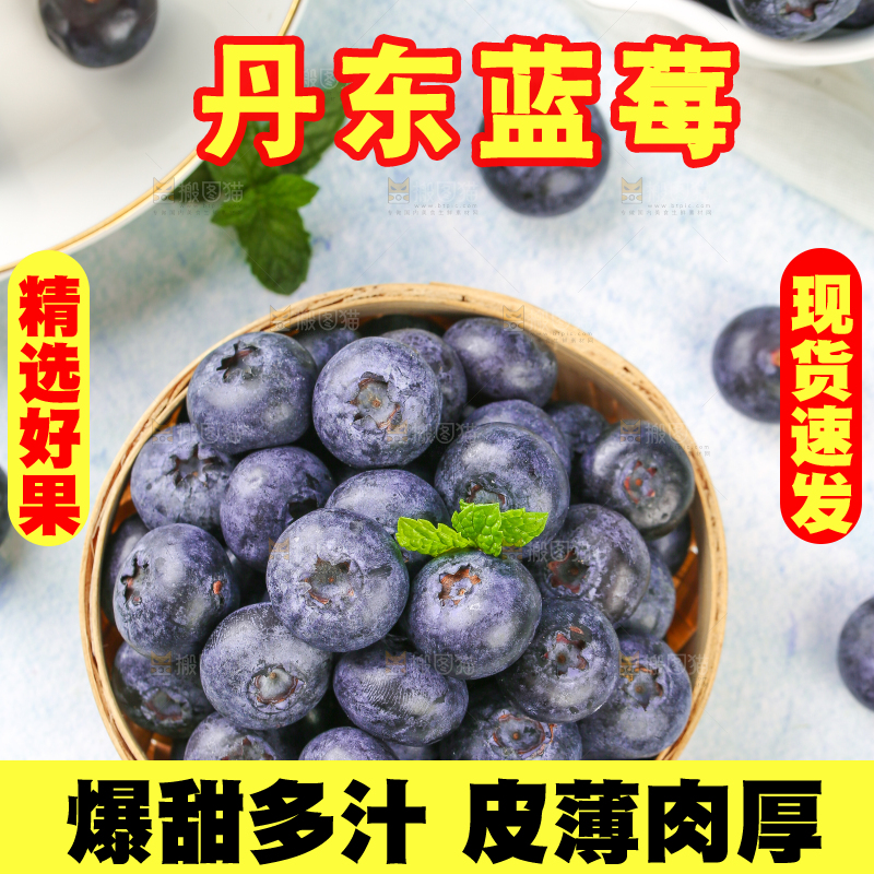 浅底上的一篮高山蓝莓