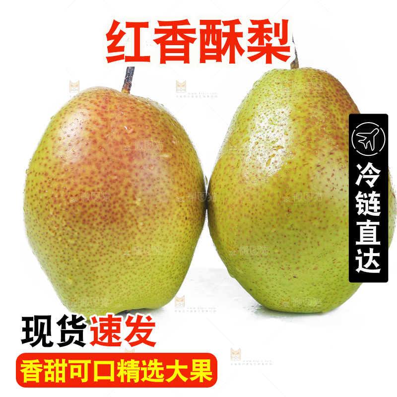 白底上的红香酥梨