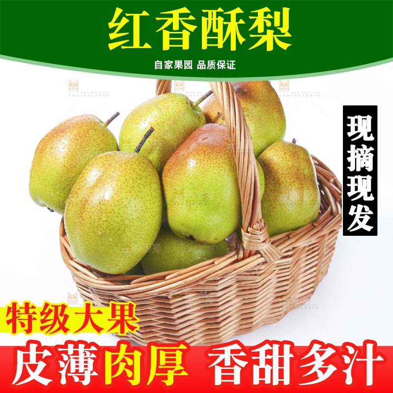 篮子里的红香酥梨