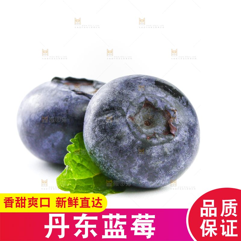 白底上放着的新鲜蓝莓