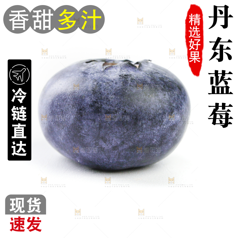 白底上放着的新鲜蓝莓
