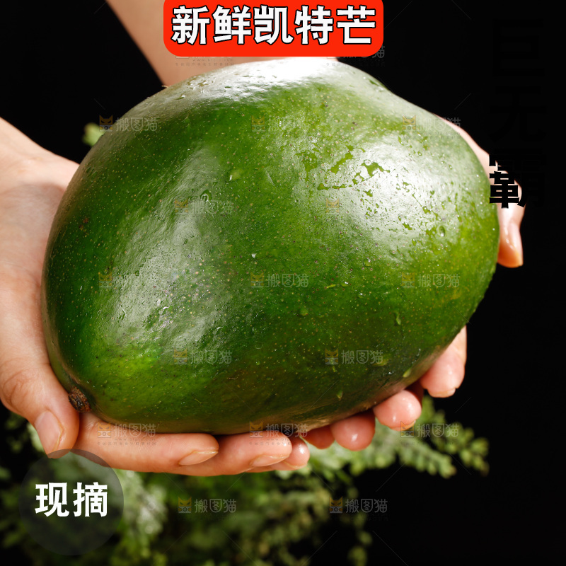 手里拿着青皮凯特芒