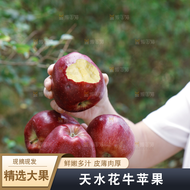 手里拿着咬开的花牛苹果