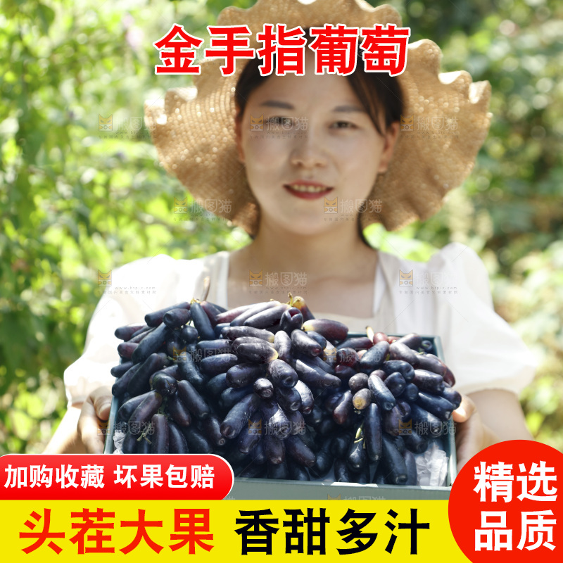 女孩拿着一盒蓝宝石葡萄