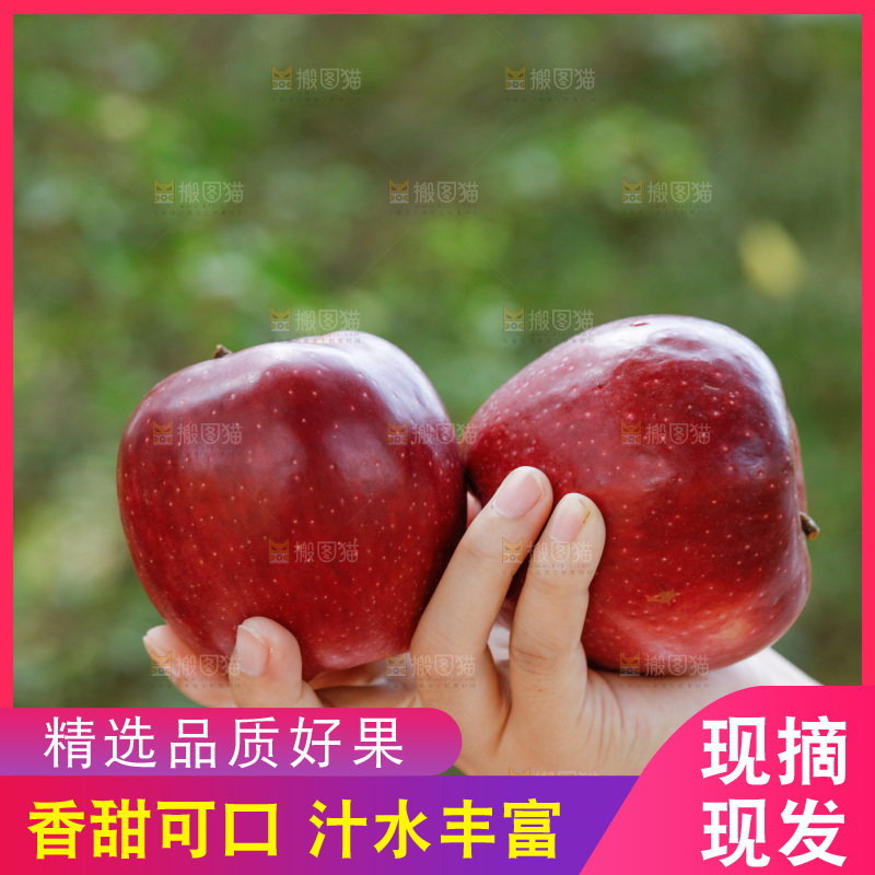 手上放着花牛苹果