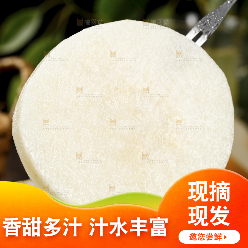 叉子插着秋月梨果肉