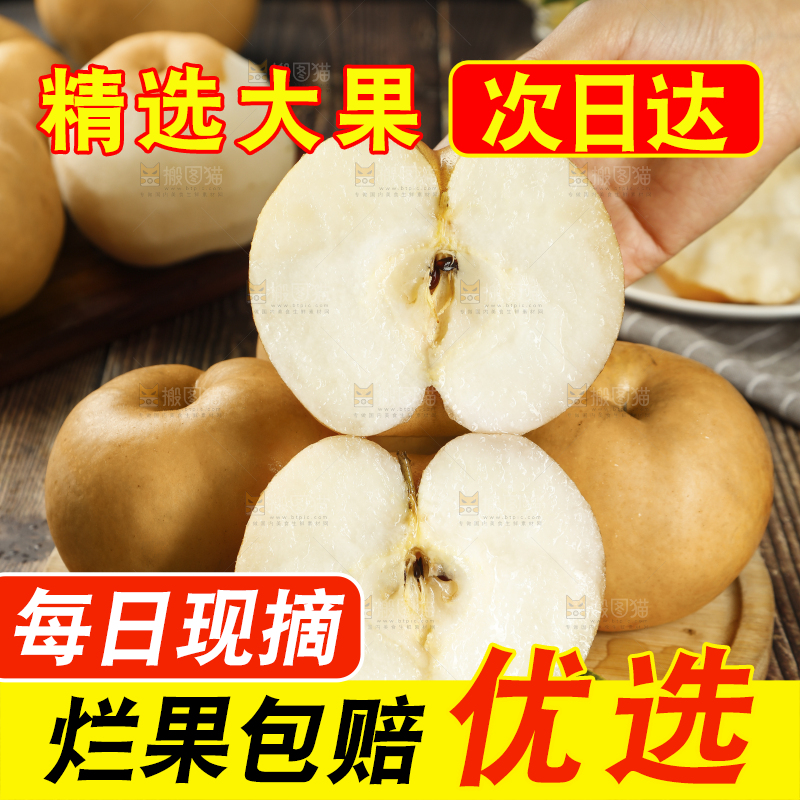 手里切开的山东秋月梨