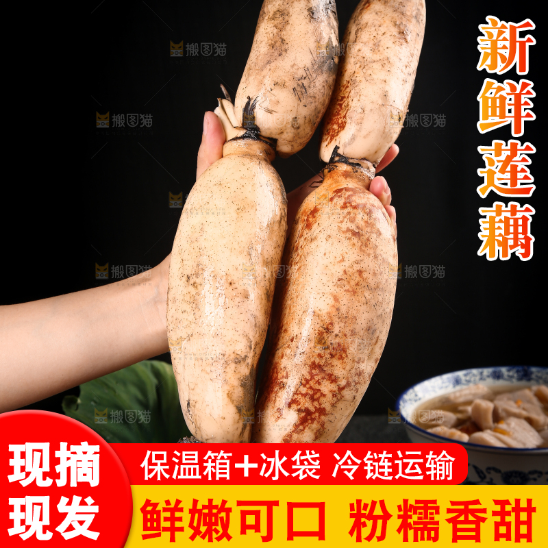手上拿着粉藕