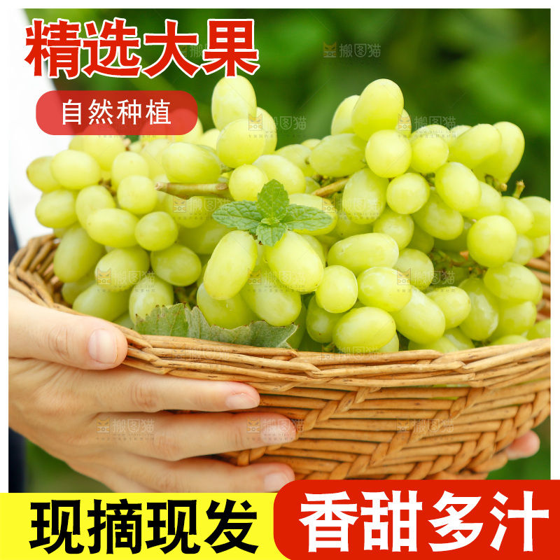 手里端着一篮新疆无核白葡萄