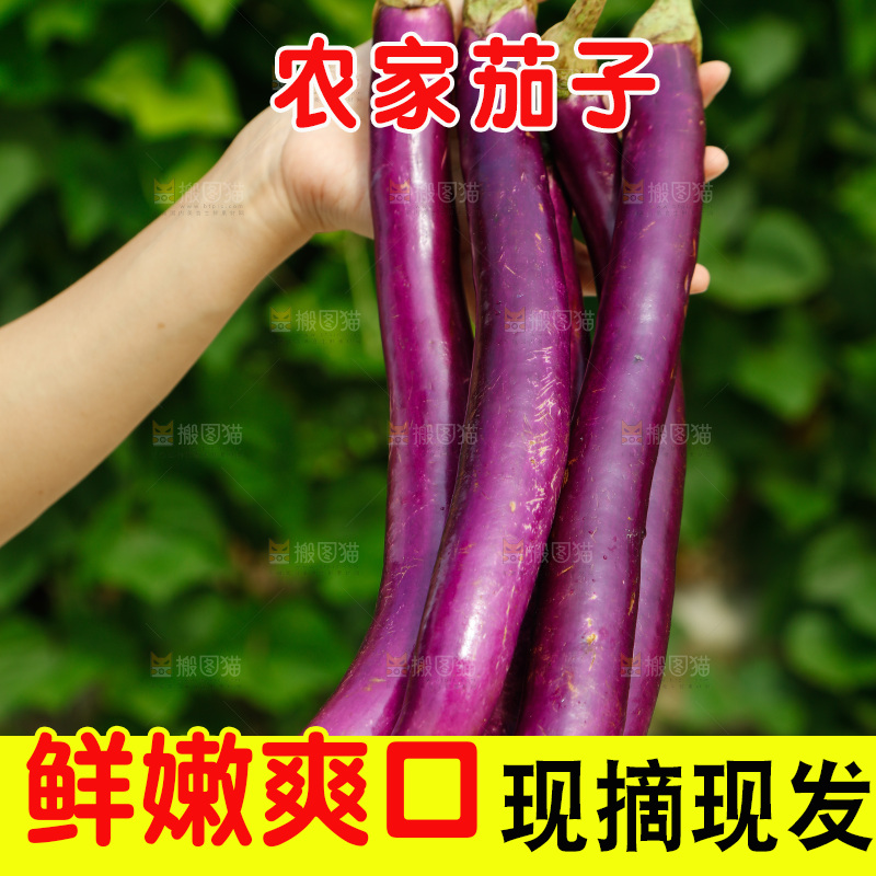手里拿着长茄子