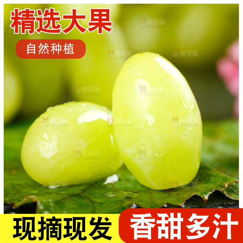 叶子上放着无核白葡萄