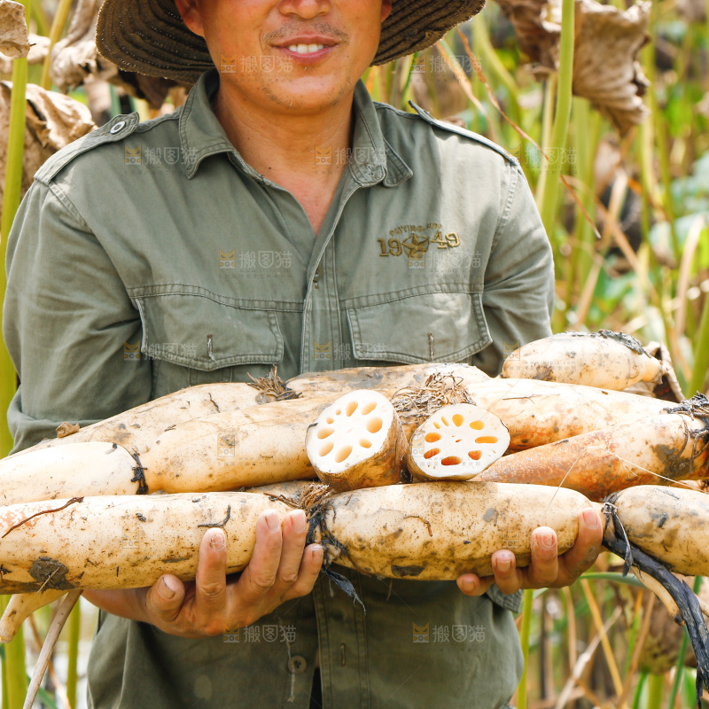 手里抱着洪湖莲藕