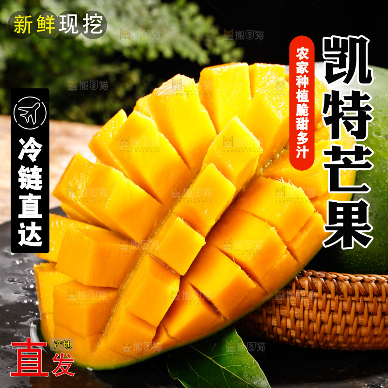 黑石板上的凯特芒