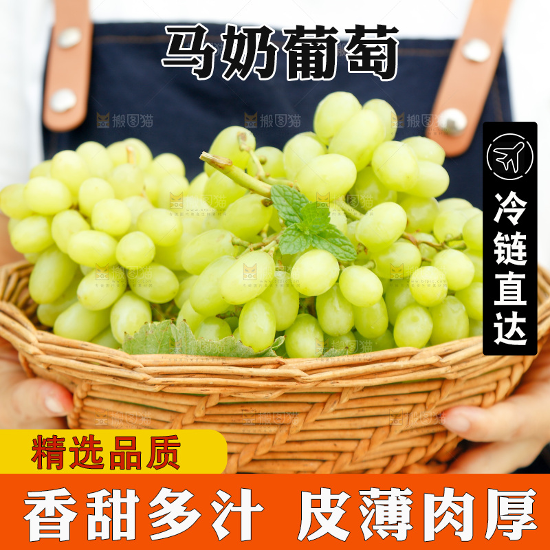 手里端着一篮新疆无核白葡萄