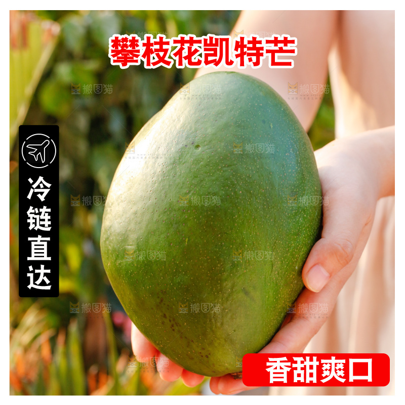 手里拿着青皮凯特芒