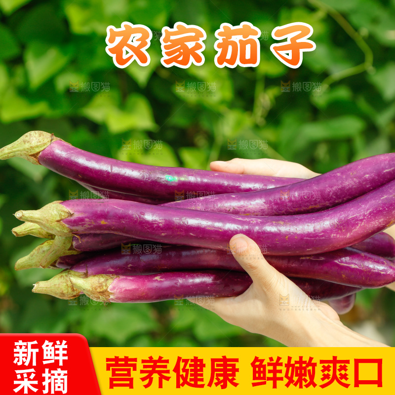 手里拿着长茄子