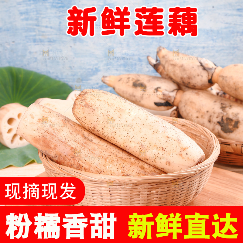 一篮洪湖粉藕