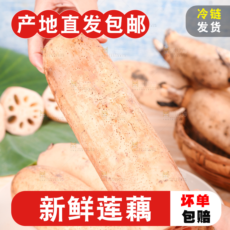 手里拿着莲藕