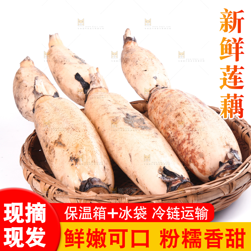 篮子里的洪湖莲藕