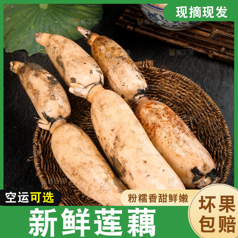 篮子里的洪湖莲藕