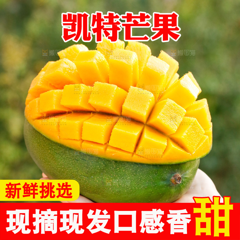 手里拿着凯特芒果
