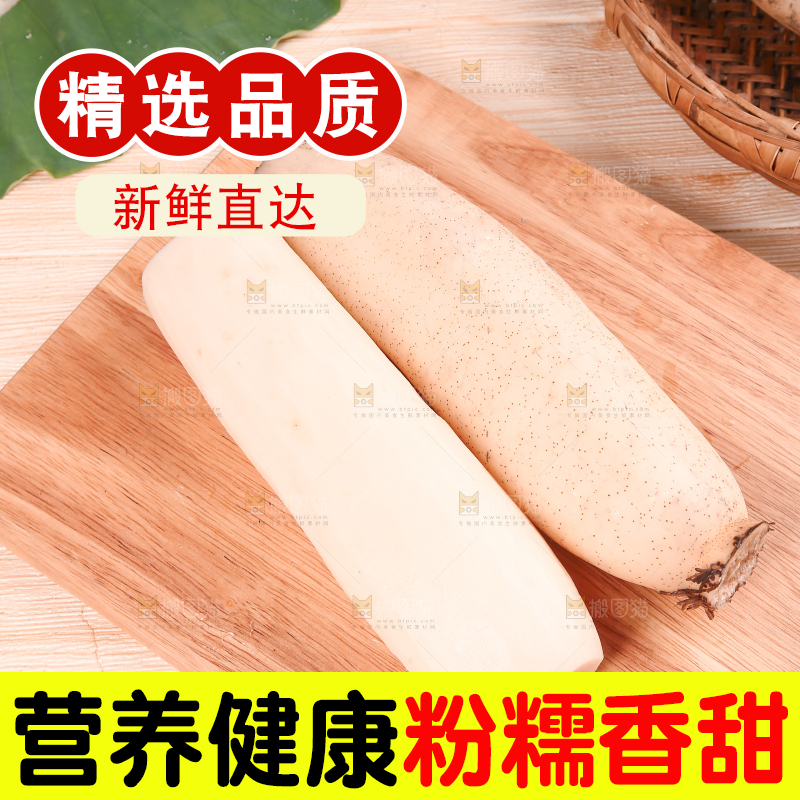 木底上的湖北洪湖粉藕