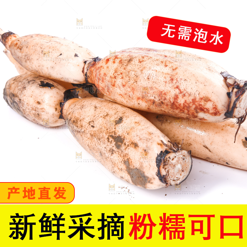 白底上的莲藕