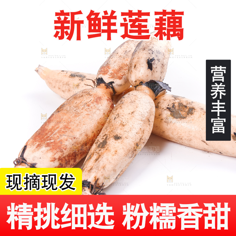 白底上的莲藕