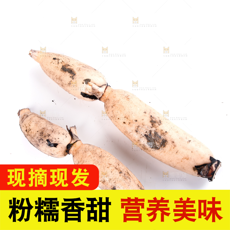 白底上的莲藕
