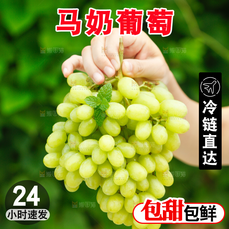 手里拿着白葡萄