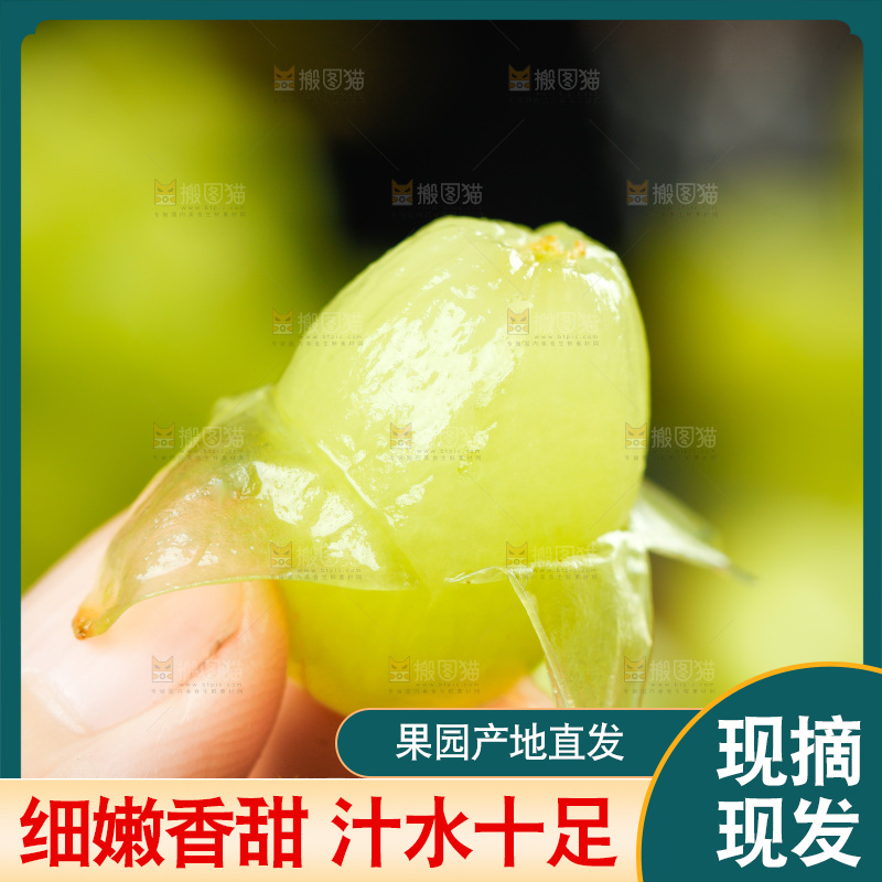 手里拿着葡萄