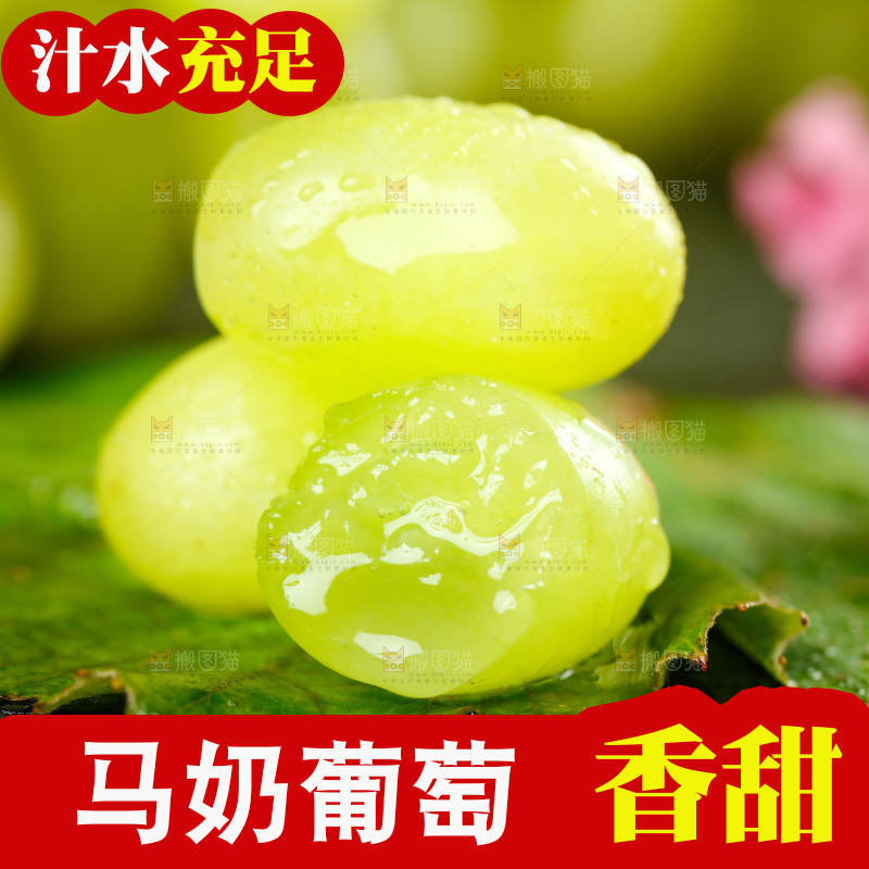 叶子上放着无核白葡萄