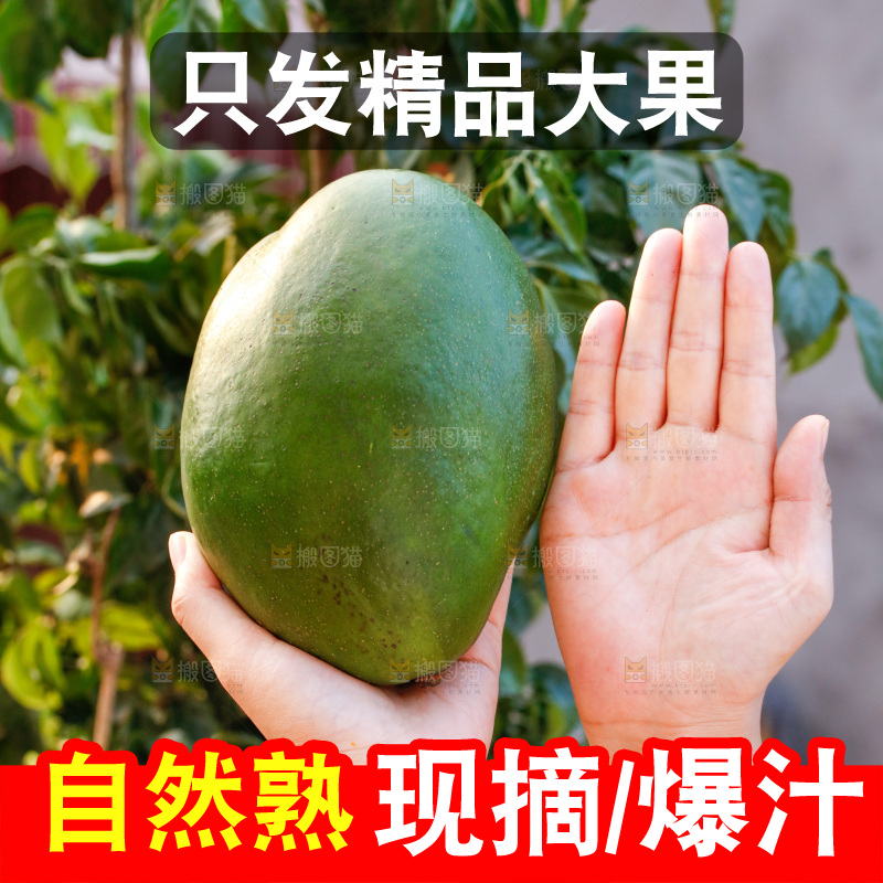 手里拿着青皮凯特芒