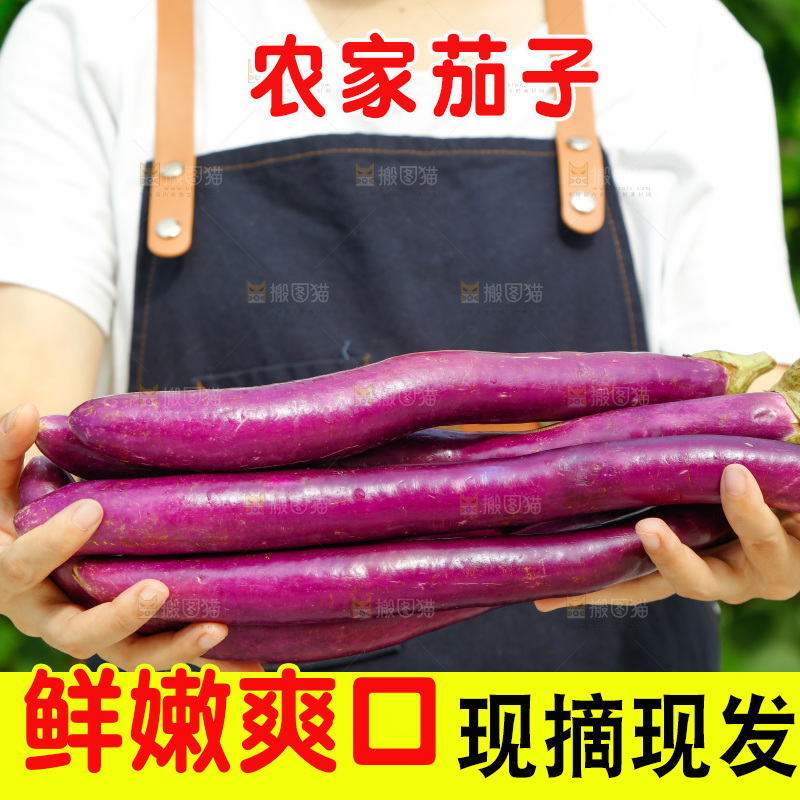 手里拿着长茄子
