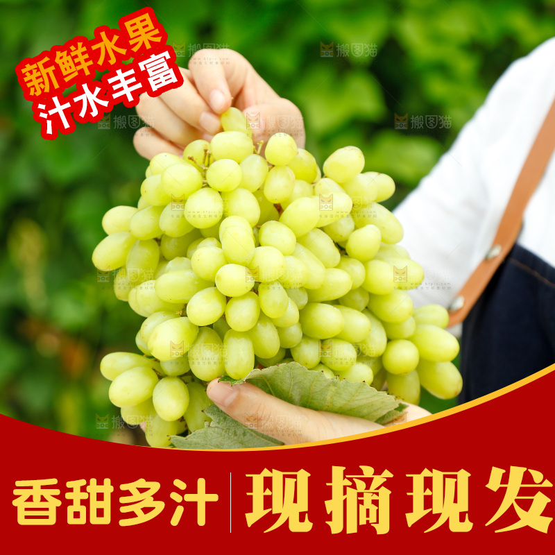 手里拿着马奶提子
