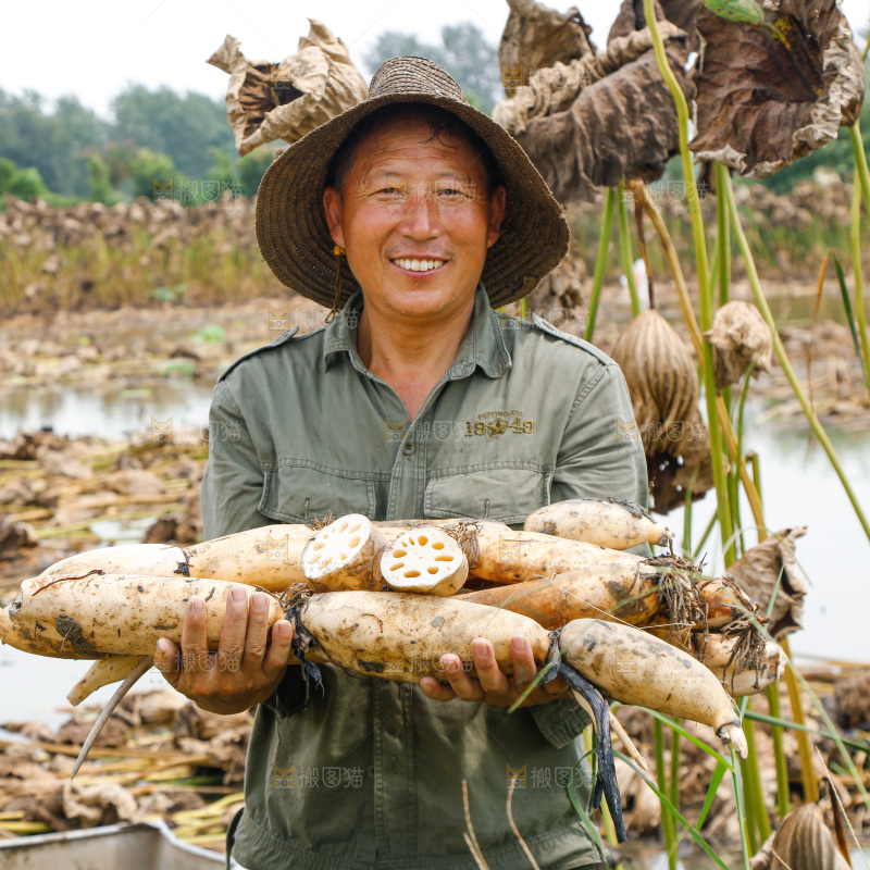 手里抱着洪湖莲藕