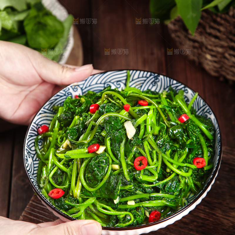手里端着一盘炝炒苕尖