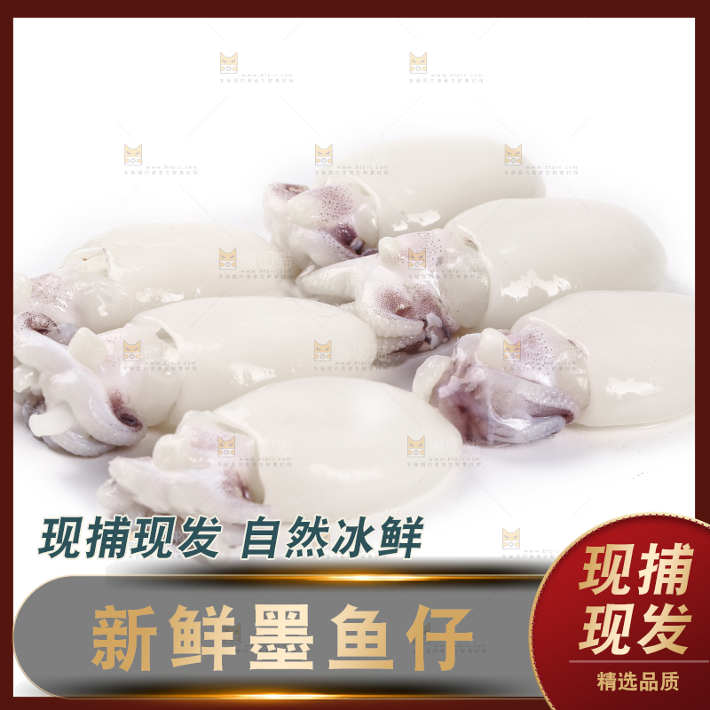 一堆新鲜墨鱼仔