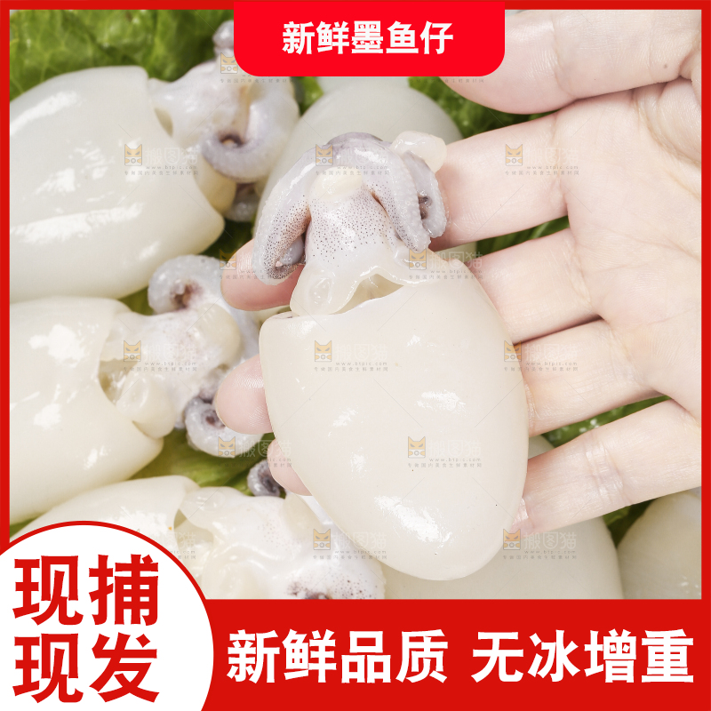手里拿着小墨鱼