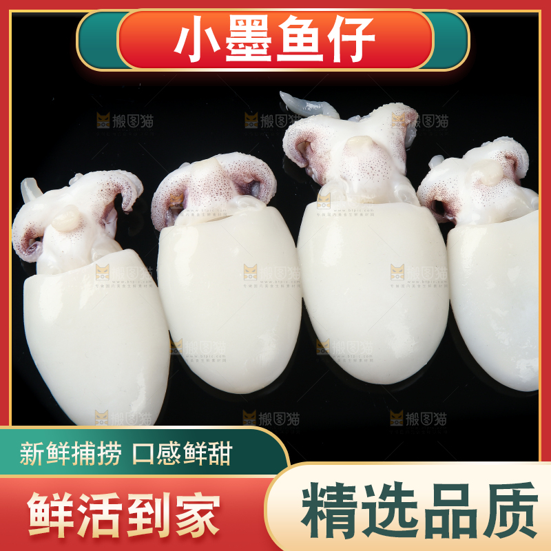 黑底上的墨鱼仔