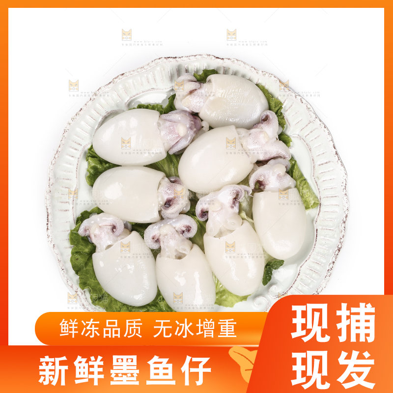 白底上放着一盘小墨鱼