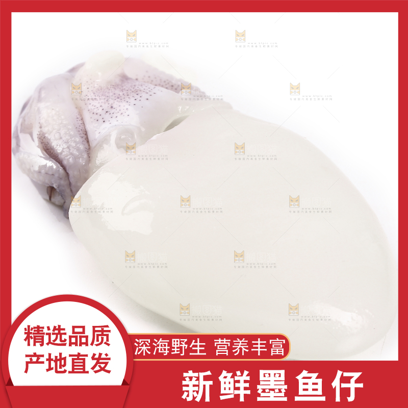 白底上放着墨鱼仔