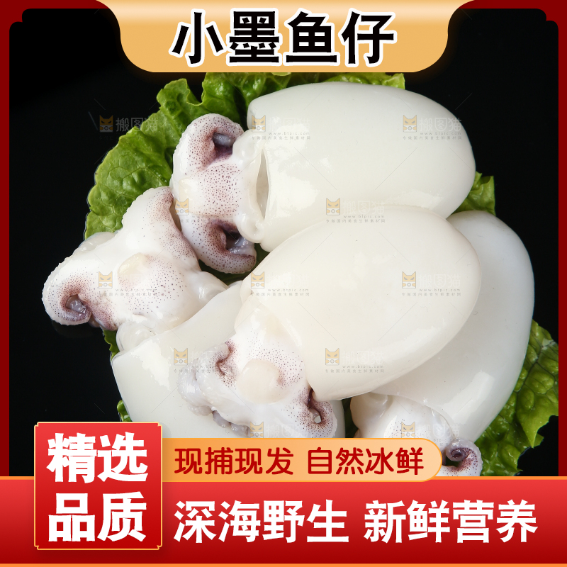 菜叶上的小墨鱼