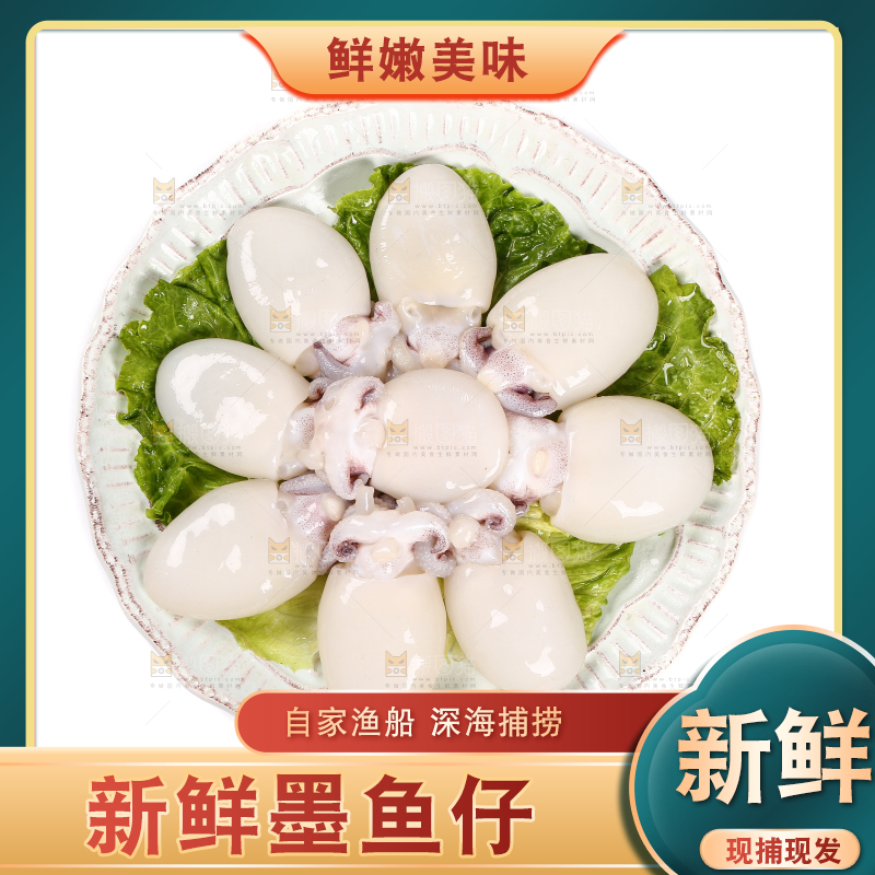 白底上放着一盘小墨鱼