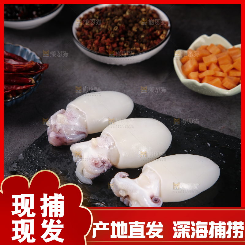 黑石板上的小墨鱼仔