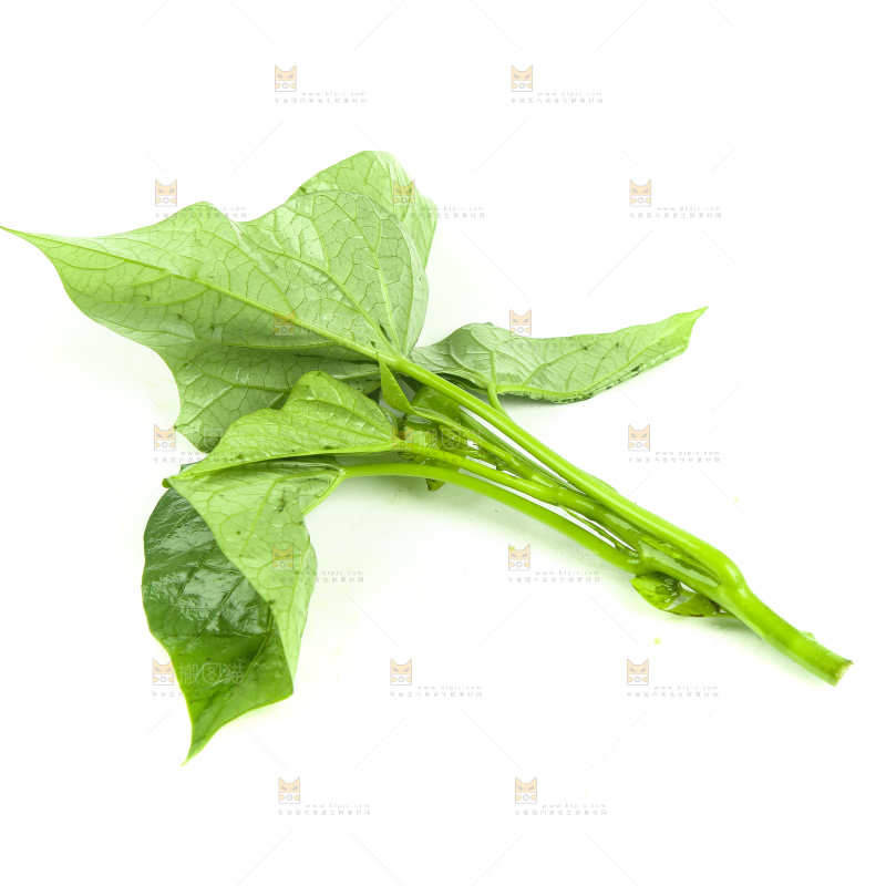 白底上的红薯尖