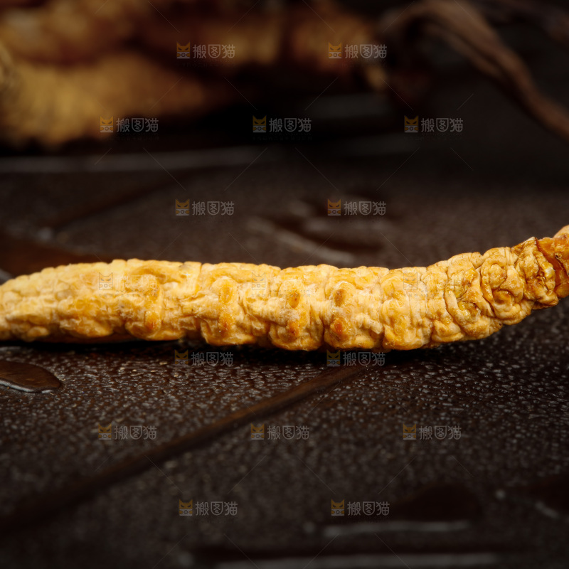 深底上摆放着虫草