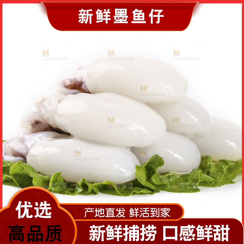 一堆新鲜墨鱼仔