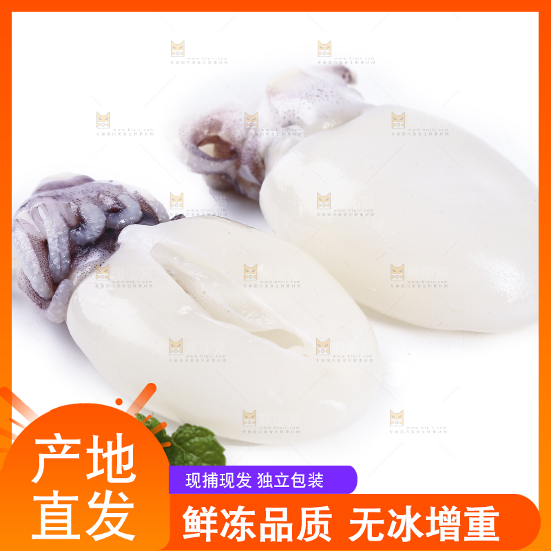 白底上放着墨鱼仔